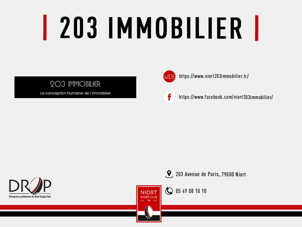 203 Immobilier