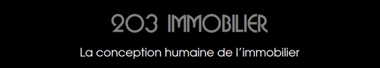 203 Immobilier