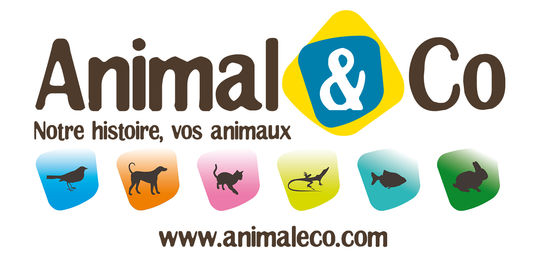 Animal & Co