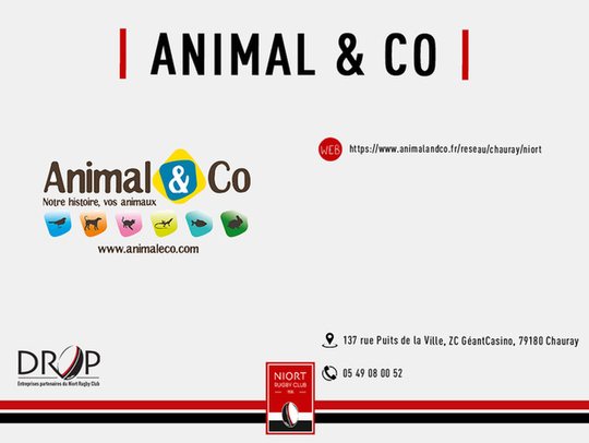 Animal & Co