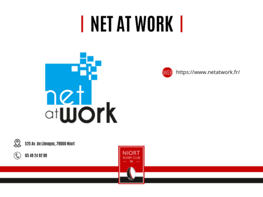 Net At Work