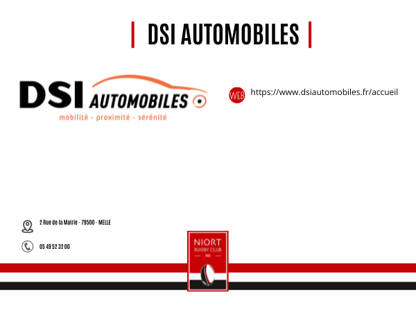 DSI AUTOMOBILES